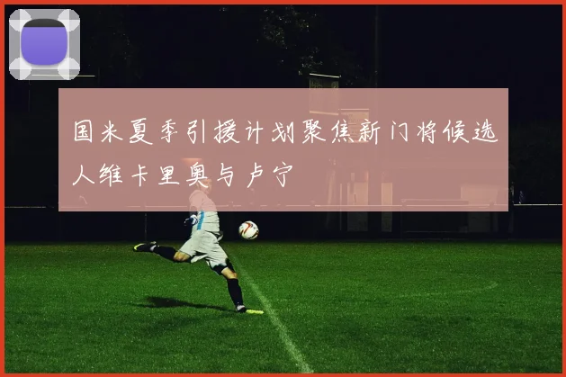 国米夏季引援计划聚焦新门将候选人维卡里奥与卢宁